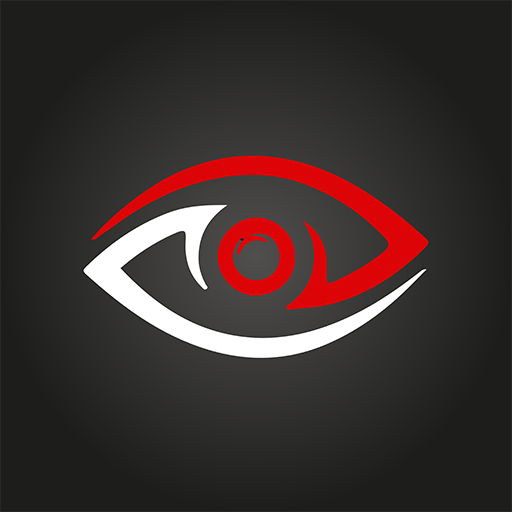 DATA VISOR - Для учередителей logo