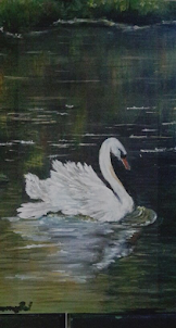 Swan Wallpaper HD