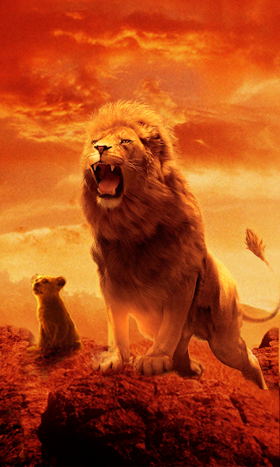 Android application Talking Lion screenshort
