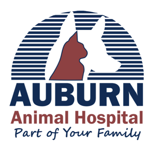 Auburn Vet logo