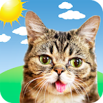 Cover Image of Download Weather BUB 5.5.1 APK