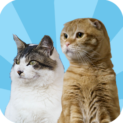 ねこパズル -猫を繋げて大連鎖！- logo