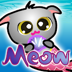 Meow Aquarium