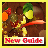 Guides Fruit Ninja icon