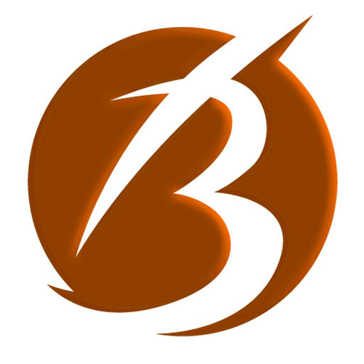 BRAND FINANCIAL SERVICES logo