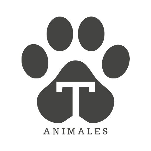 TOTEM ANIMALES 2.3.11-app Icon