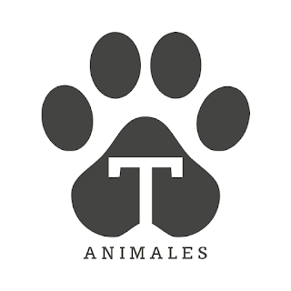 TOTEM ANIMALES