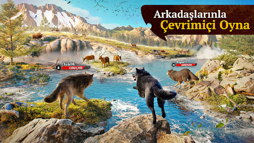 The Wolf: RPG Hayvan Avı Oyunu ekran görüntüsü