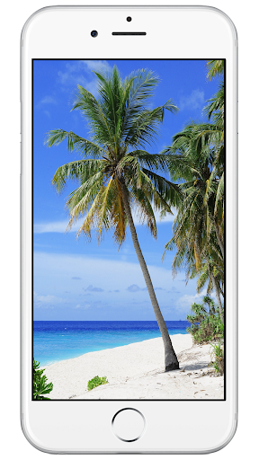 Pixabay Wallpapers - Images