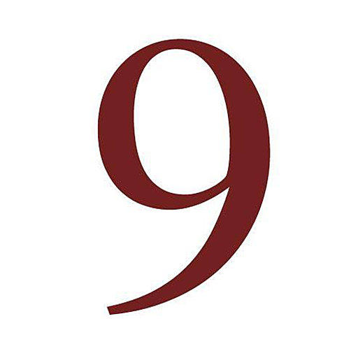 Number 9 Salon logo