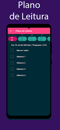Bíblia da Mulher Letra Jumbo Screen 3
