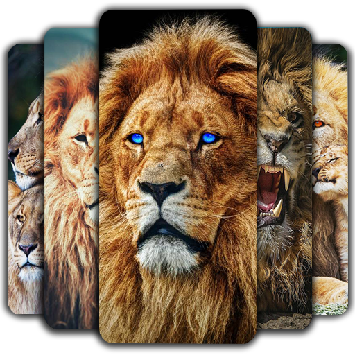 Lion Wallpapers - Apps on Google Play