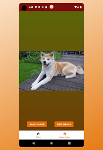 Doggo App