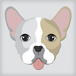 Cover Image of डाउनलोड Which Dog Breed You Are Test  APK