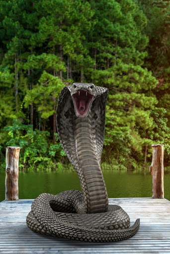 Cobra Attack Live Wallpaper Screen 2