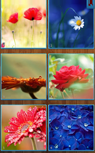Flower Jigsaw Puzzles 1.9.18 screenshots 3