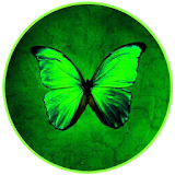 Butterfly Nature Wallpapers icon