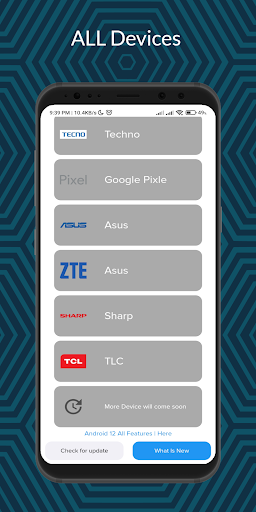 Android 12 Updater Screen 3