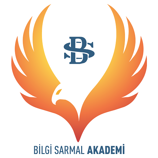 Bilgi Sarmal Akademi logo