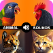 鳥や動物の着メロ - Androidアプリ