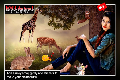 Wild Animal Photo Editor