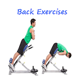 Back exercises Apk