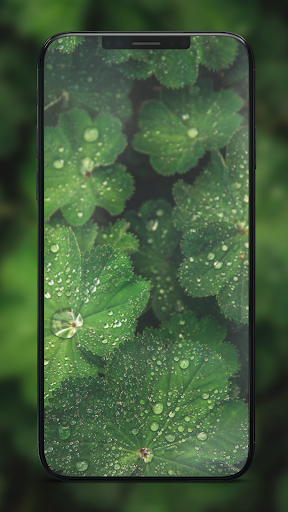 4k Wallpapers FHD Backgrounds Screen 3