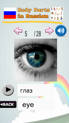 Learn Body Parts in Russian