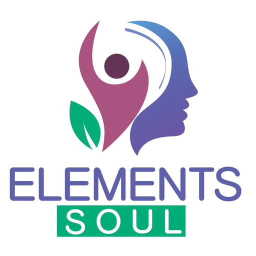 ELEMENTS SOUL ACADEMY logo