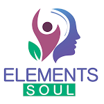 Cover Image of ダウンロード ELEMENTS SOUL ACADEMY  APK
