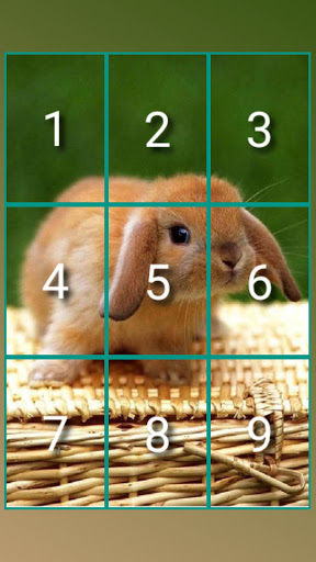 Brain sort block puzzle 1 iq Screen 2