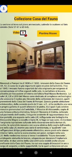 Museo Archeologico Napoli Screen 3