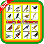 Cover Image of 下载 Canto de Pássaros (Offline)  APK