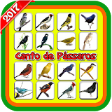 Canto de Pássaros (Offline) icon