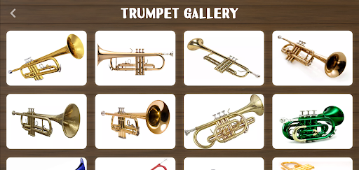 Trumpet Instrument