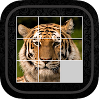 Puzzle Blocks