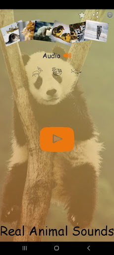 Android application Real Animal Sounds screenshort