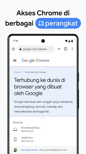 Google Chrome screenshot 5