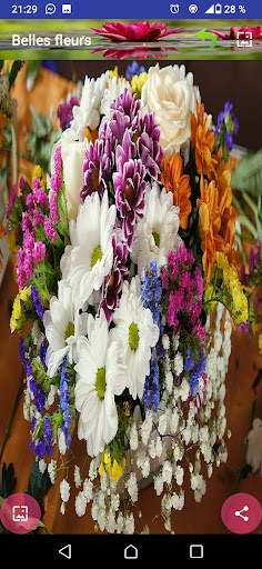 Beautiful flowers Screen 3