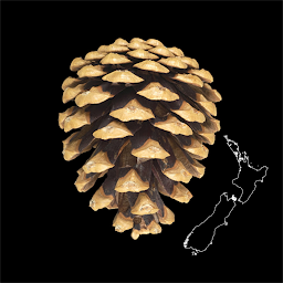 Imagen de ícono de NZ Wilding Conifers