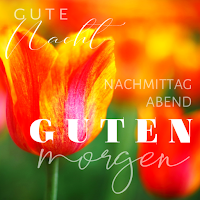 Guten Morgen Nachmittag Abend und Gute Nacht