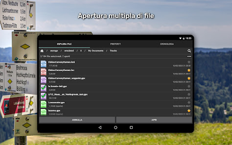 Immagine screenshot