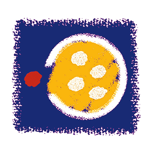 Comedor logo