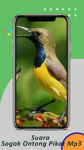 Suara Sogok Ontong Pikat Mp3 Screenshot 4 - AppWisp.com