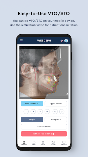 WebCeph Screen 3