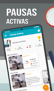 Vista previa de la aplicación