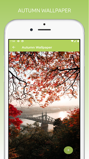 Autumn Wallpapers HD