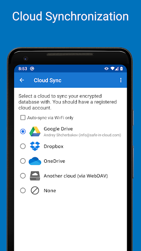 Password Manager SafeInCloud Pro APK v21.4.3 Gallery 7