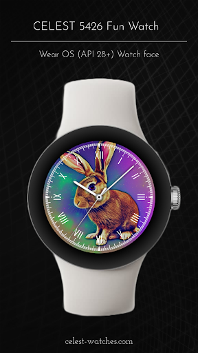 CELEST5426 Fun Watch Screen 2