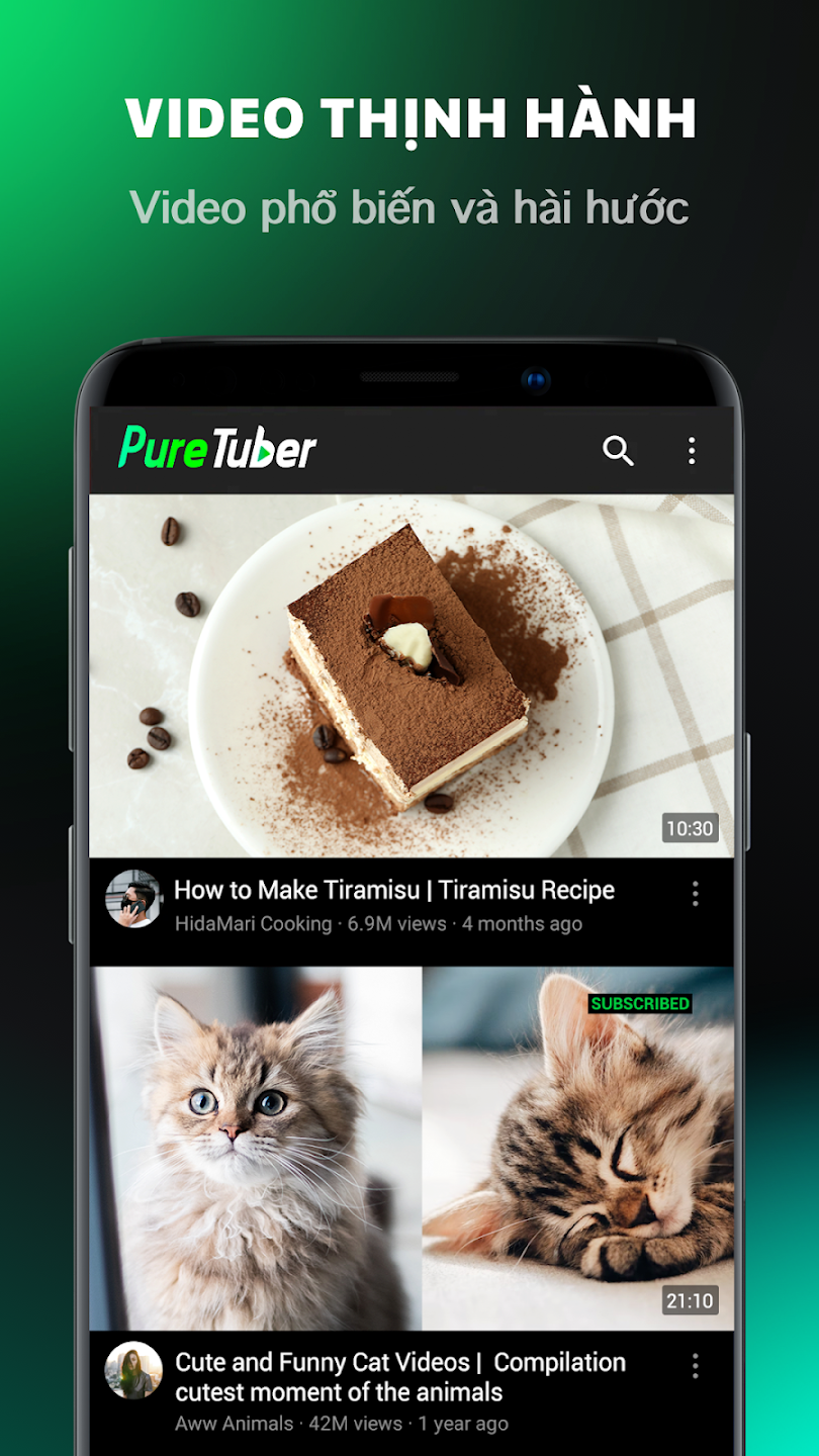 Hình ảnh Pure Tuber: Khóa Ad cho video